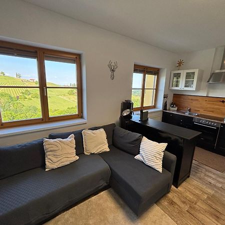 Glanz Und Gloria Weingartenapartment An Der Kellerstrasse, Viele Buschenschaenke, Sehr Ruhige Lage, Herrliche Aussicht! 루트스카치 외부 사진
