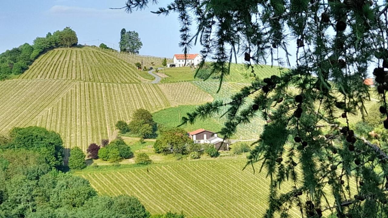 Glanz Und Gloria Weingartenapartment An Der Kellerstrasse, Viele Buschenschaenke, Sehr Ruhige Lage, Herrliche Aussicht! 루트스카치 외부 사진
