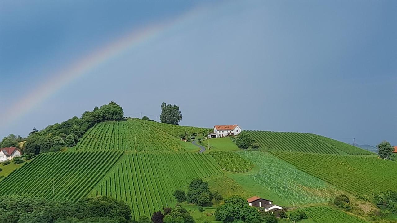 Glanz Und Gloria Weingartenapartment An Der Kellerstrasse, Viele Buschenschaenke, Sehr Ruhige Lage, Herrliche Aussicht! 루트스카치 외부 사진