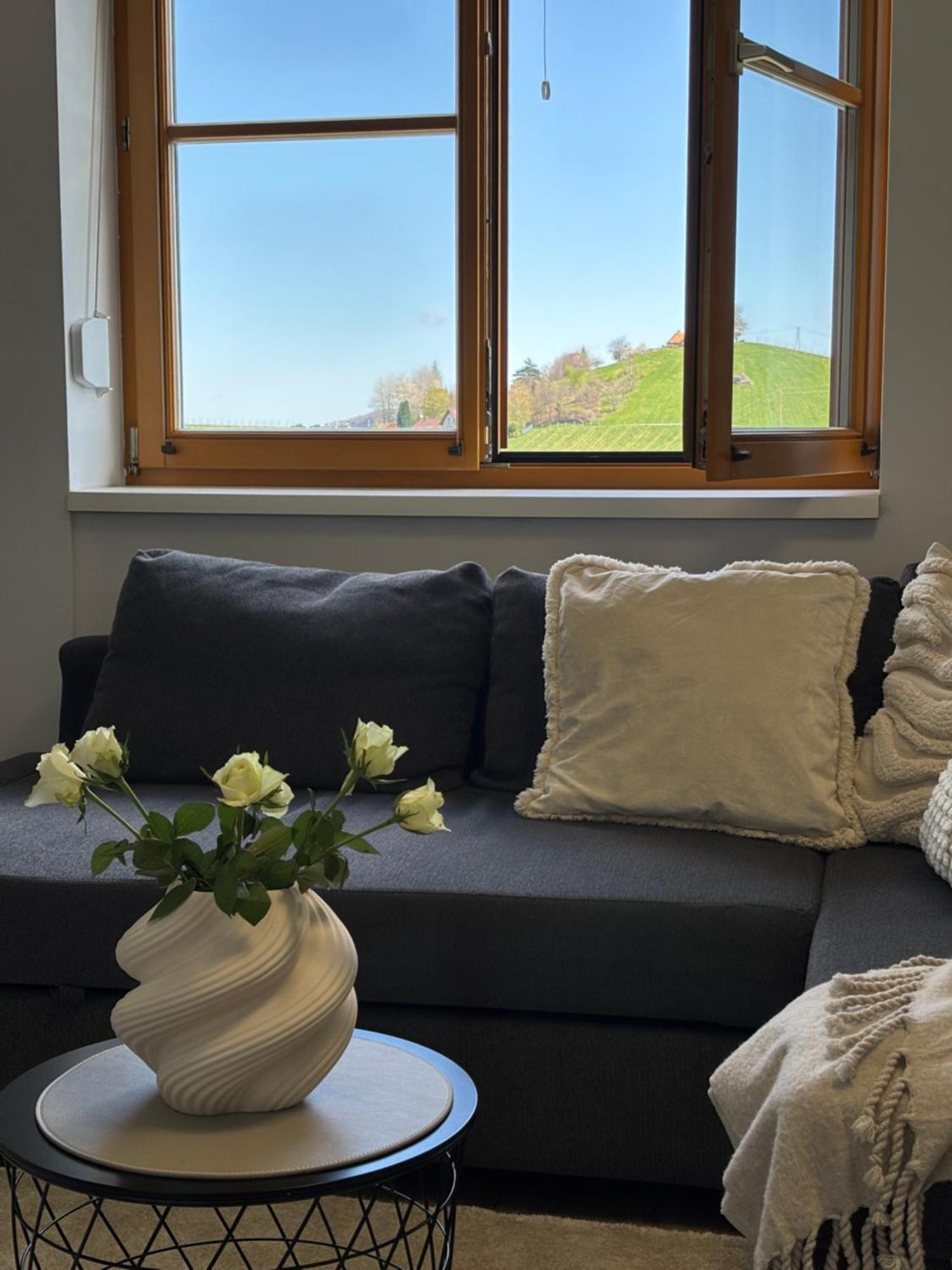 Glanz Und Gloria Weingartenapartment An Der Kellerstrasse, Viele Buschenschaenke, Sehr Ruhige Lage, Herrliche Aussicht! 루트스카치 외부 사진